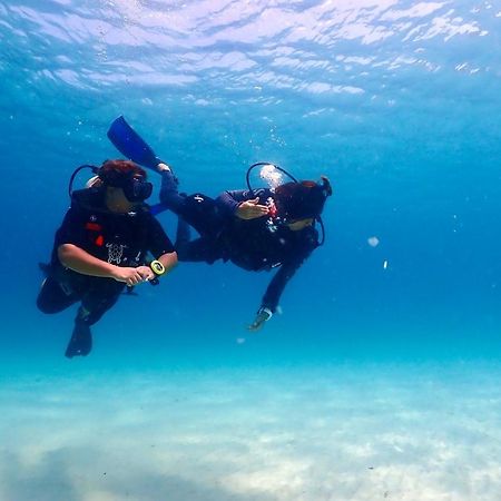 The Dearly Koh Tao Hostel-Padi 5 Star Dive Resort 외부 사진