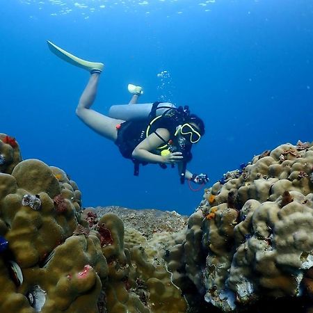 The Dearly Koh Tao Hostel-Padi 5 Star Dive Resort 외부 사진