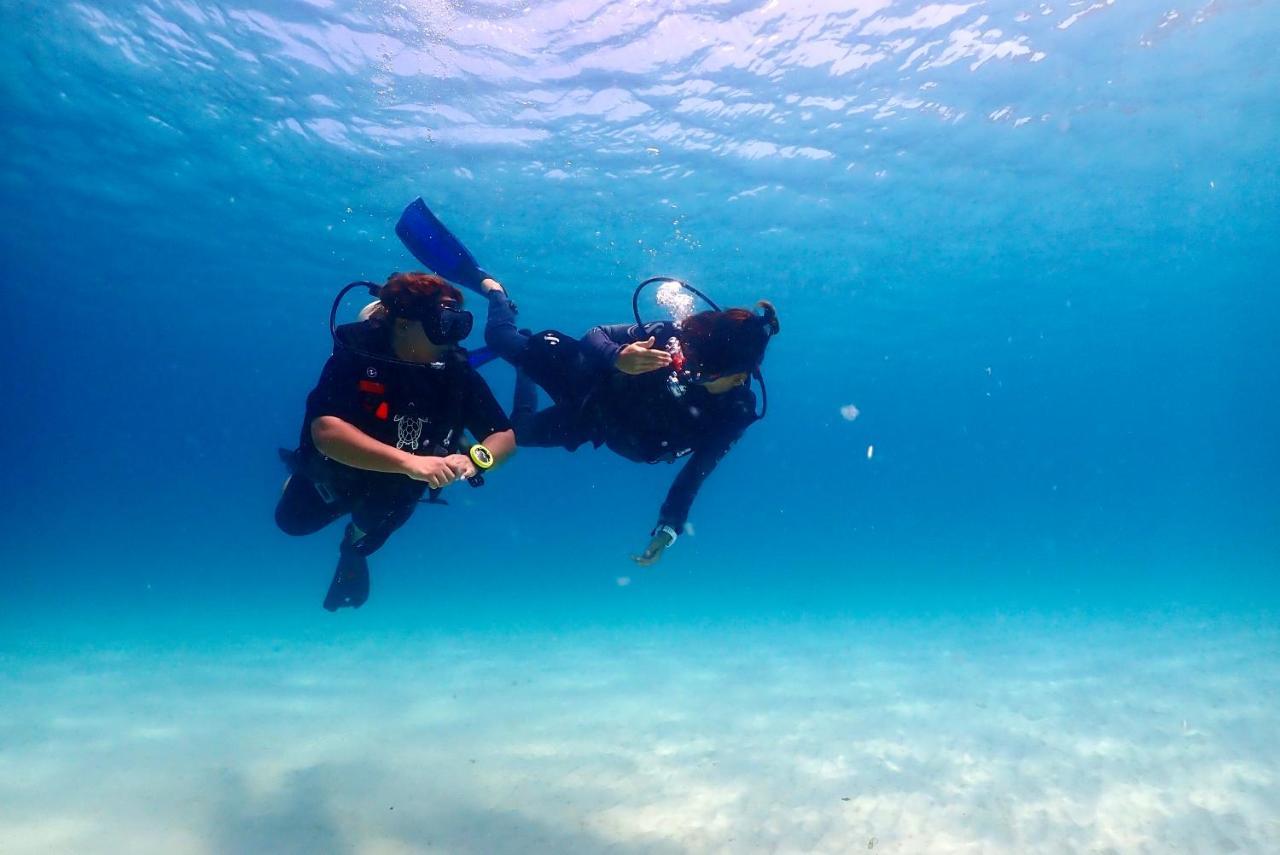 The Dearly Koh Tao Hostel-Padi 5 Star Dive Resort 외부 사진