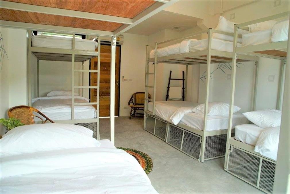 The Dearly Koh Tao Hostel-Padi 5 Star Dive Resort 외부 사진